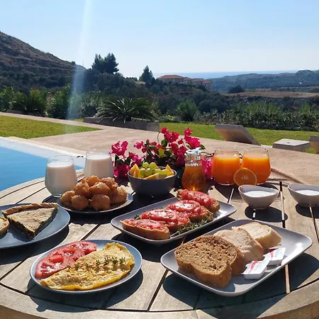 Alekos Houses-profilio's Willa *